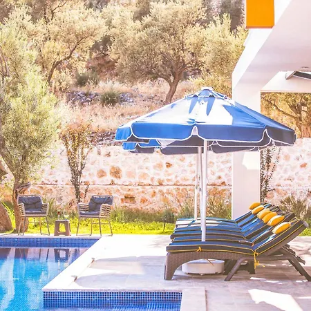 Figen Kalkan